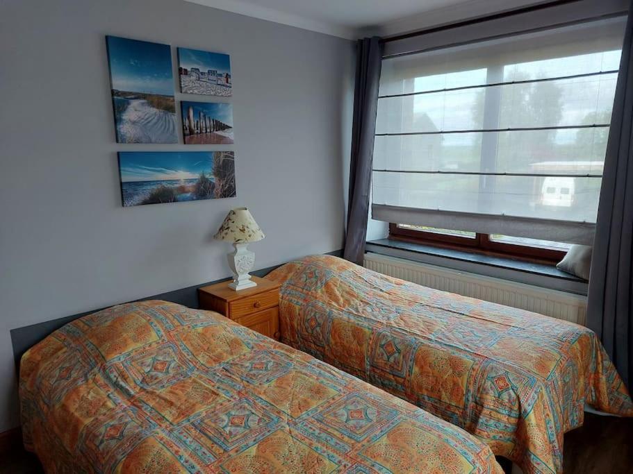 Le Reposoir Maison Spacieuse Avec Feu Au Bois Bertogne Εξωτερικό φωτογραφία